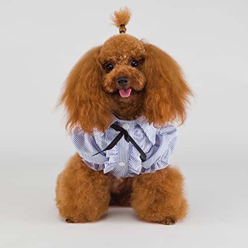 Evcil köpek kıyafeti Elbise Bahar ve Yaz Bahar Sevimli Kostüm Chihuahua Ceket Kıyafetler Pet Malzemeleri Köpek Gömlek