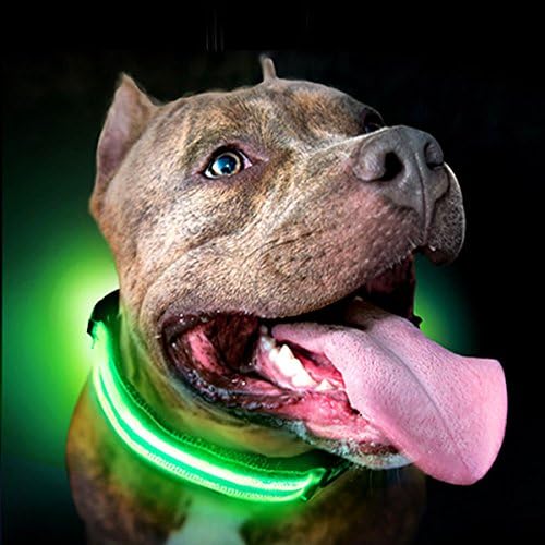 Köpekler için Parlaklık Ultimate LED Köpek Tasması-USB Şarj Edilebilir, Kablo Dahil, 5 Harika Renk. Ultra Parlak,